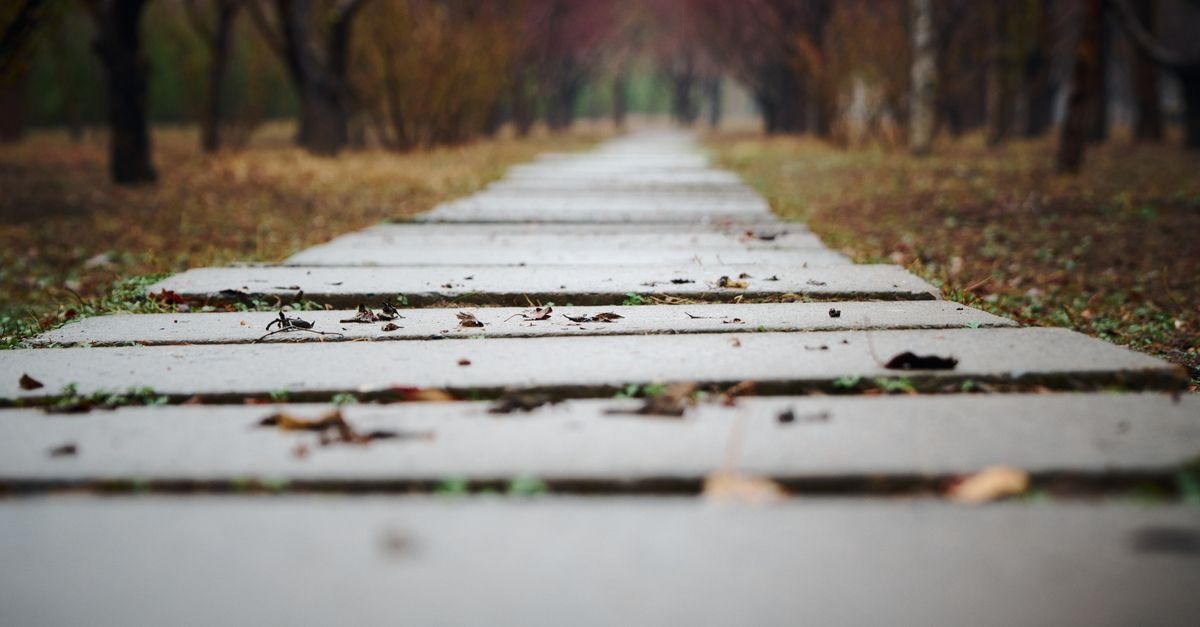 Od prostoty do efektu WOW: inspiracje na ścieżki z betonowych płyt chodnikowych